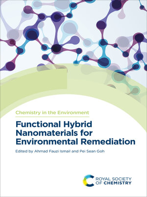 cover image of Functional Hybrid Nanomaterials for Environmental Remediation